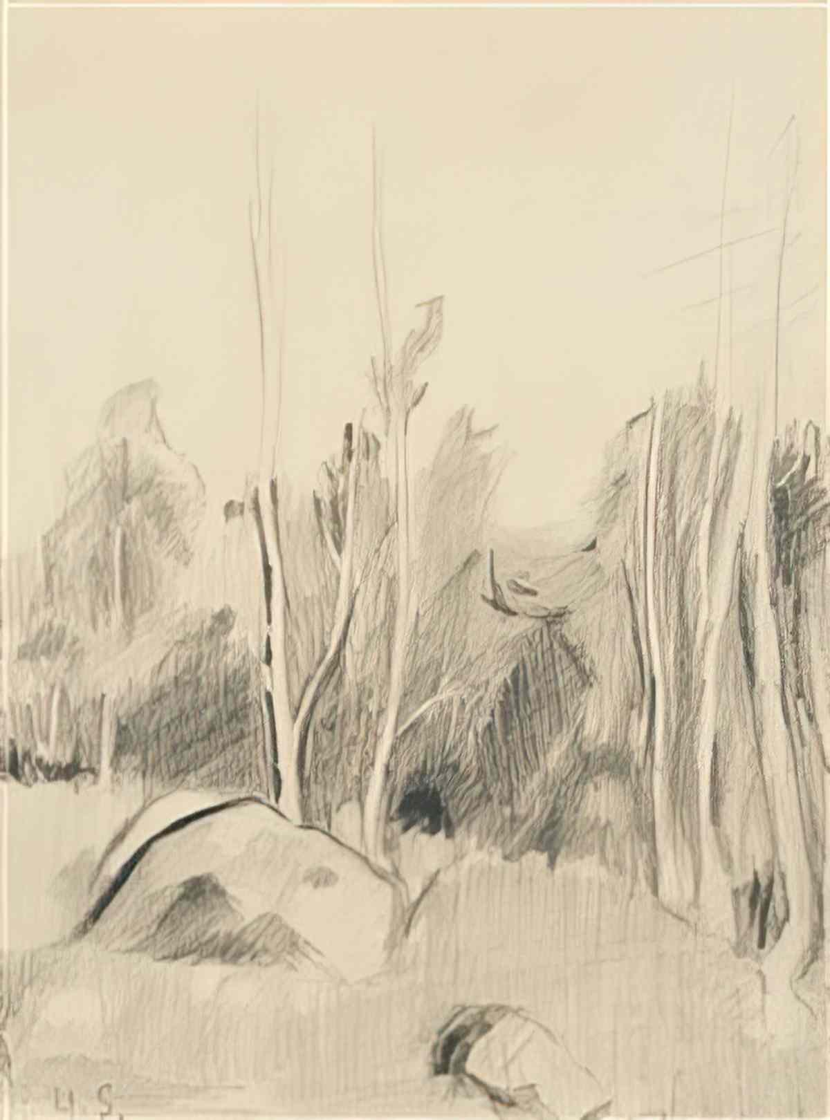 Helene Sofia Schjerfbeck flicka i blatt och brunt  portratt av inez Art A4 Photo Print