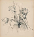 Helene Sofia Schjerfbeck mytologiskt motiv Art A4 Photo Print
