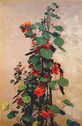 Henri Fantin Latour nasturtiums 1880 Art A4 Photo Print UK