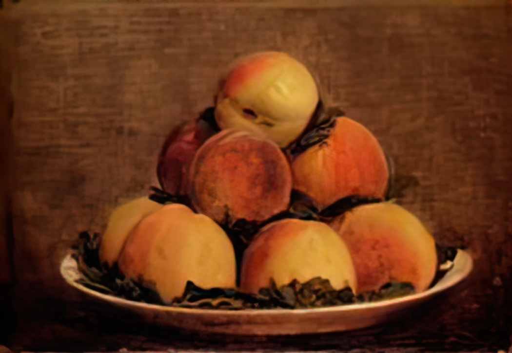 Henri Fantin Latour peaches 1869 Art A4 Photo Print UK