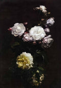 Henri Fantin Latour white roses Art A4 Photo Print UK