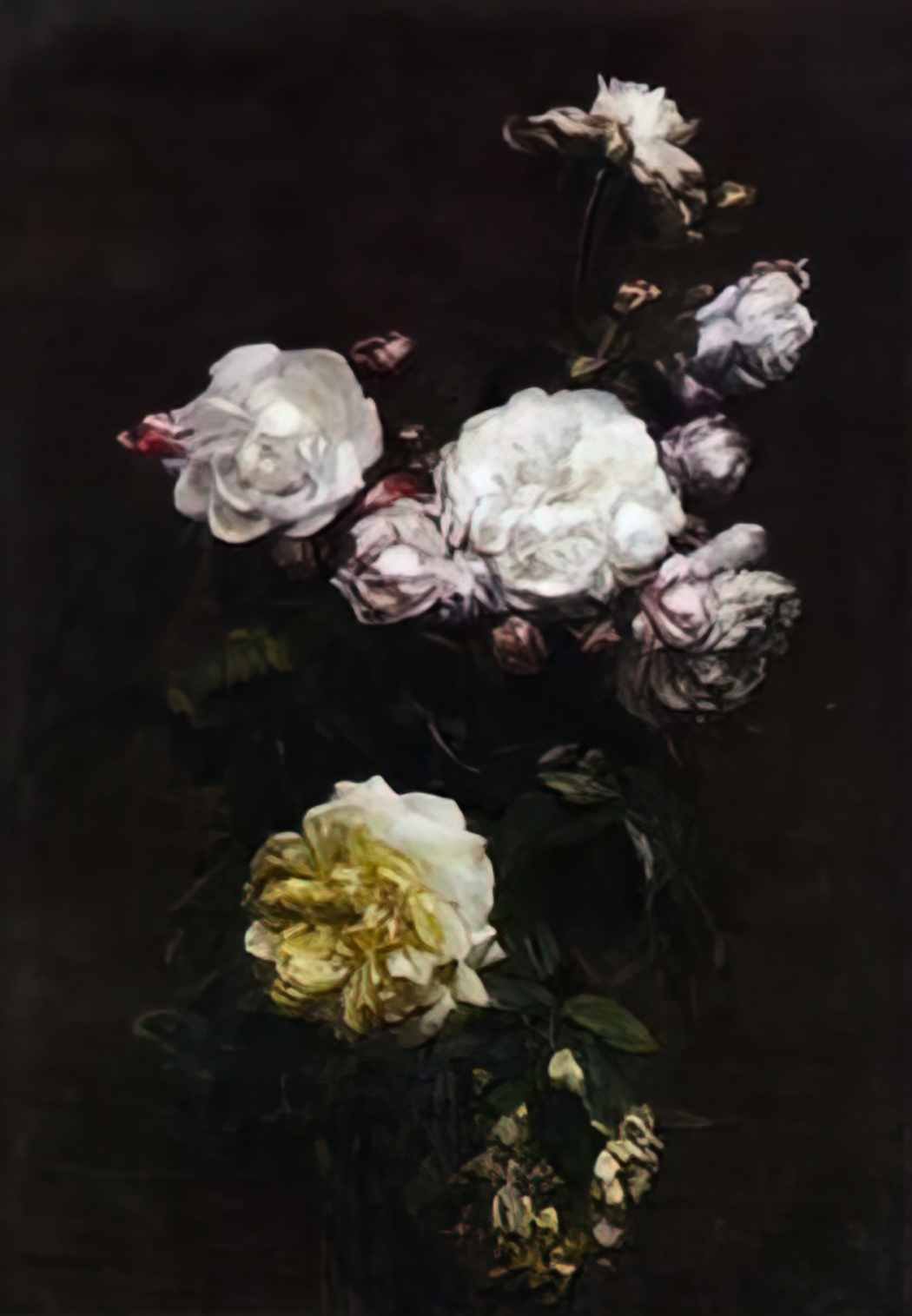 Henri Fantin Latour white roses Art A4 Photo Print UK