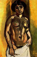 Henri Matisse 48 A4 Photo Print
