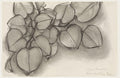 Henri Matisse Branch Of A Judas Tree A4 Photo Print