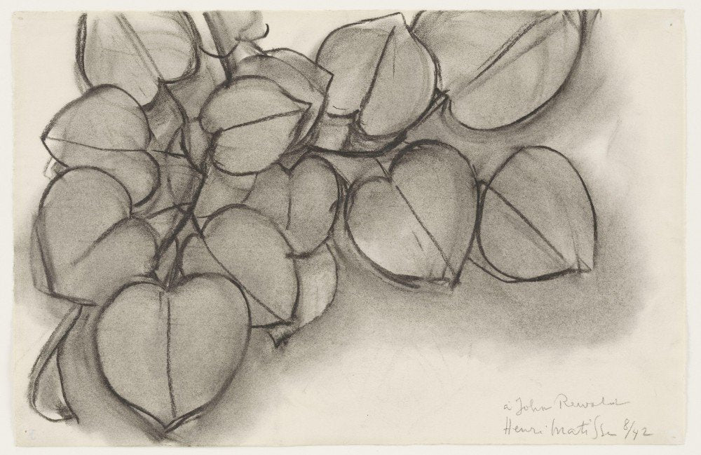 Henri Matisse Branch Of A Judas Tree A4 Photo Print