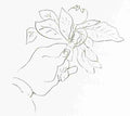 Henri Matisse Matisse S Hand Holding A Fruit Skech A4 Photo Print