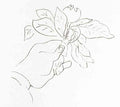 Henri Matisse Matisse'S Hand Holding A Fruit Skech A4 Photo Print A4 Photo Print