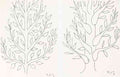 Henri Matisse Study Of Trees Sketch A4 Photo Print A4 Photo Print