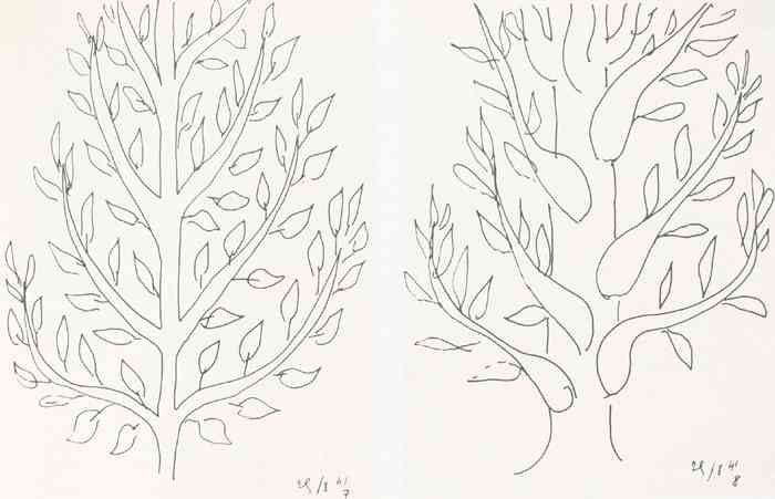 Henri Matisse Study Of Trees Sketch A4 Photo Print A4 Photo Print