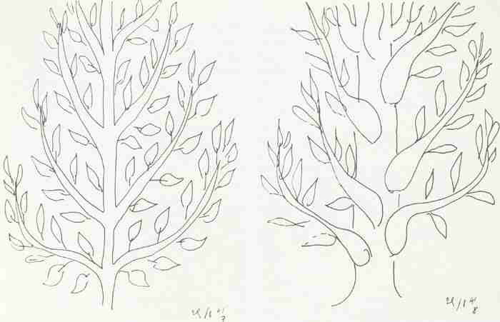 Henri Matisse Study Of Trees Sketch A4 Photo Print