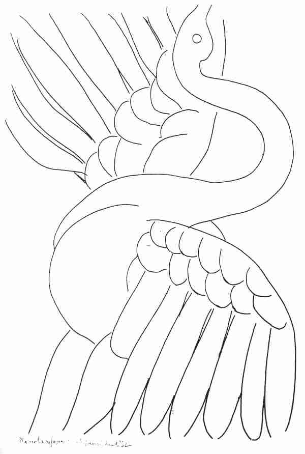 Henri Matisse The Swan Sketch A4 Photo Print