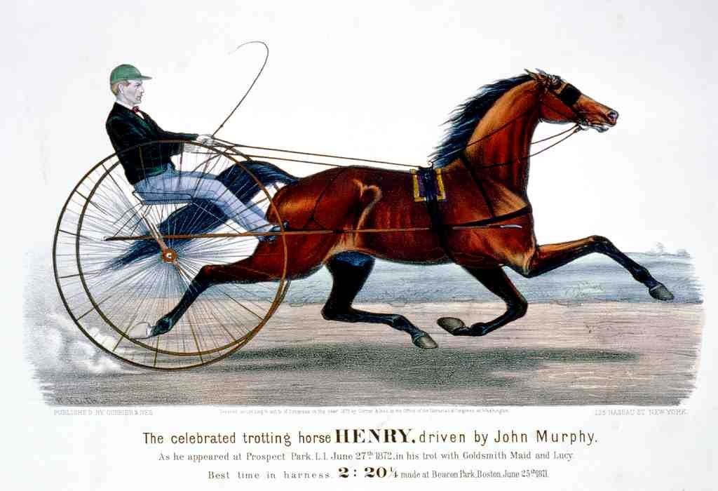 Henry Horse 001 Vintage A4 Photo Print