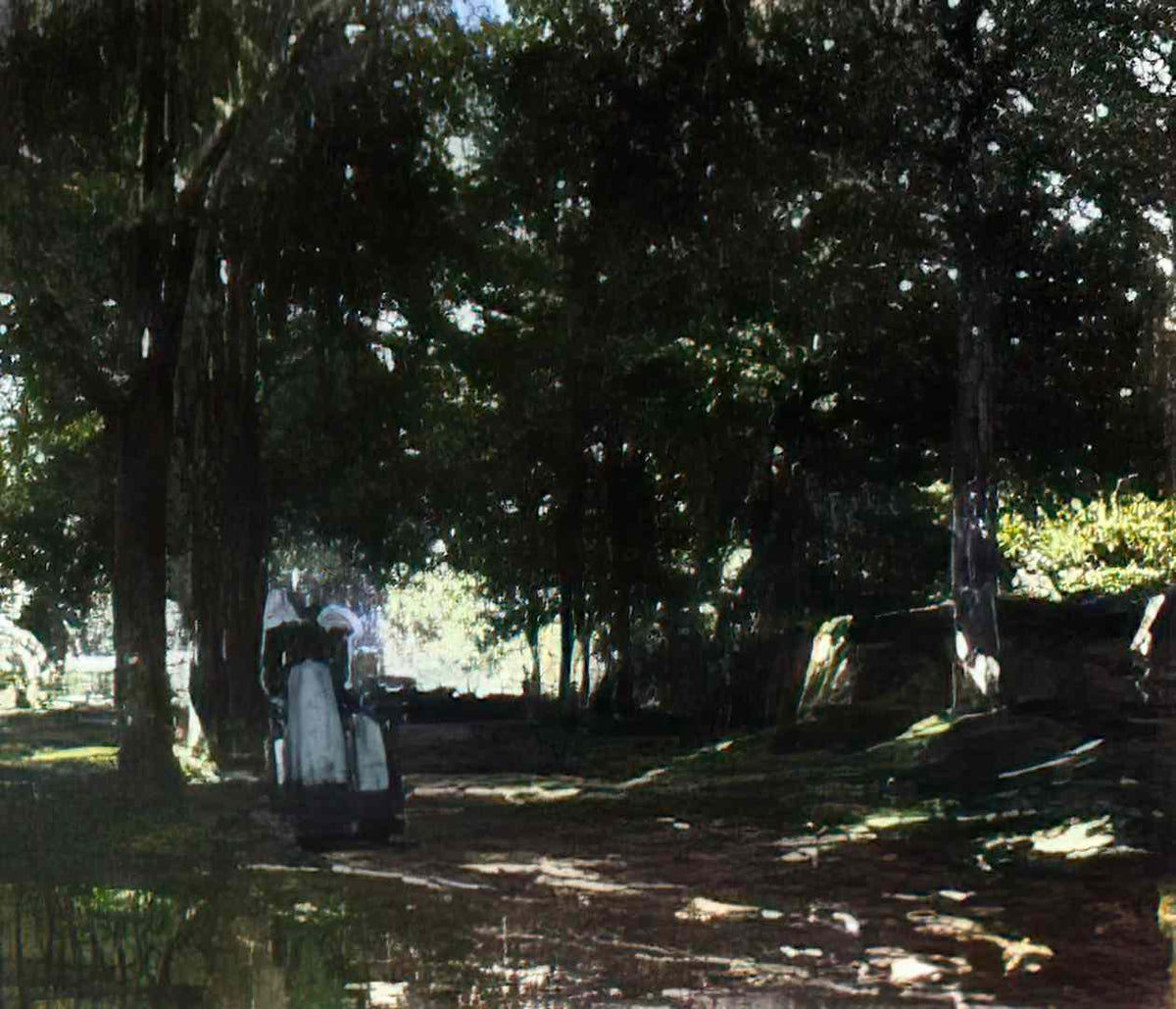 Henry Ossawa Tanner bois d amour 1891 Art A4 Photo Print