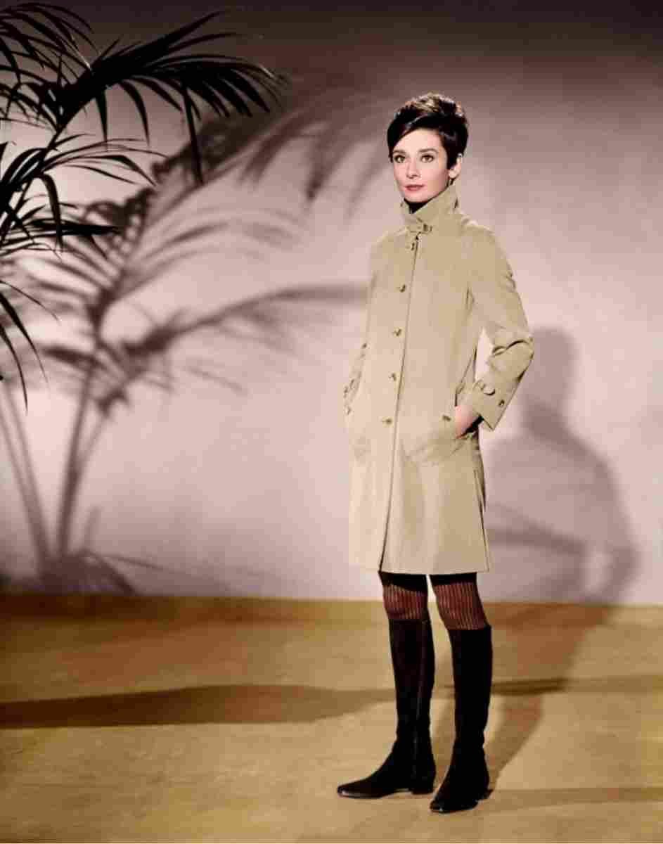 Hepburn Audrey Charade z3 film star poster A4 Photo Print