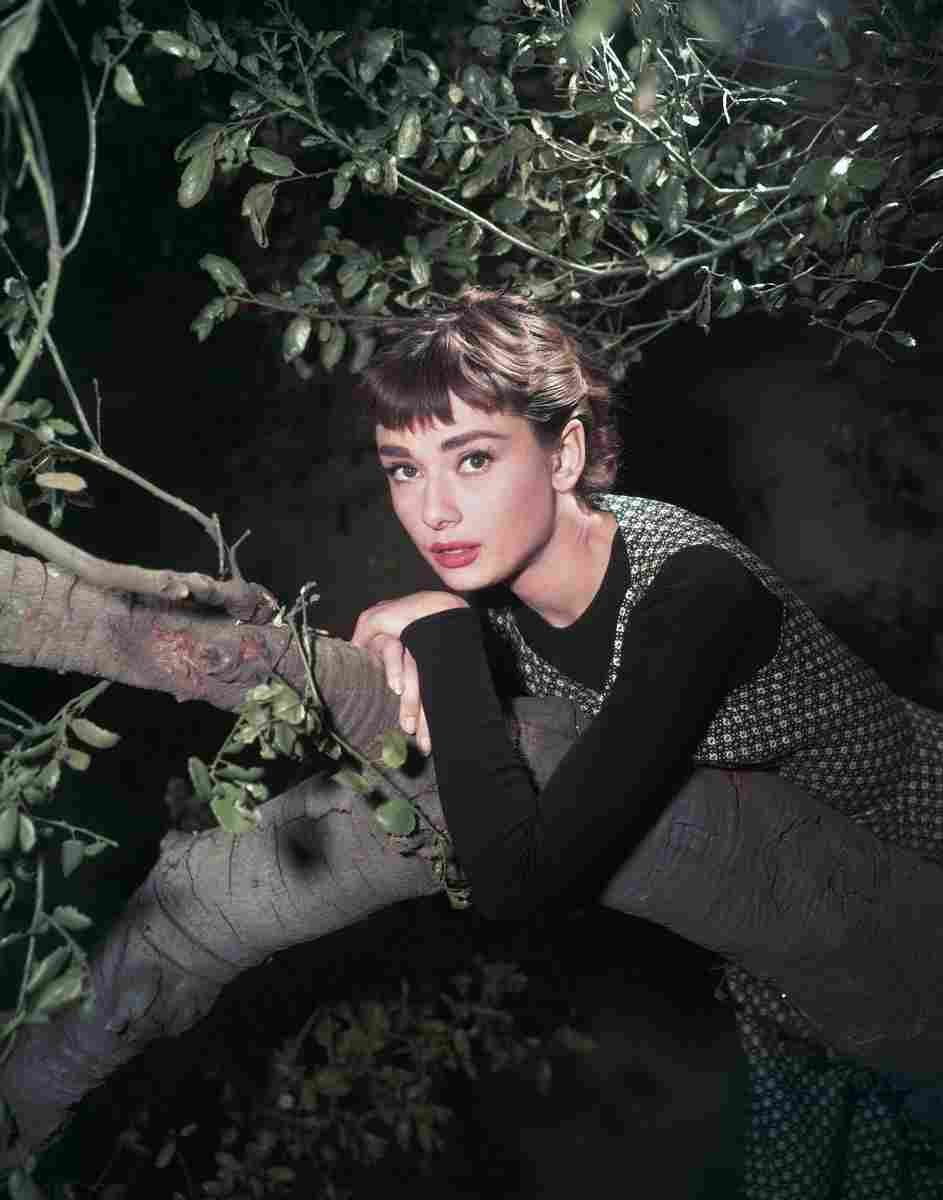Hepburn Audrey Sabrina 12 film star poster A4 Photo Print