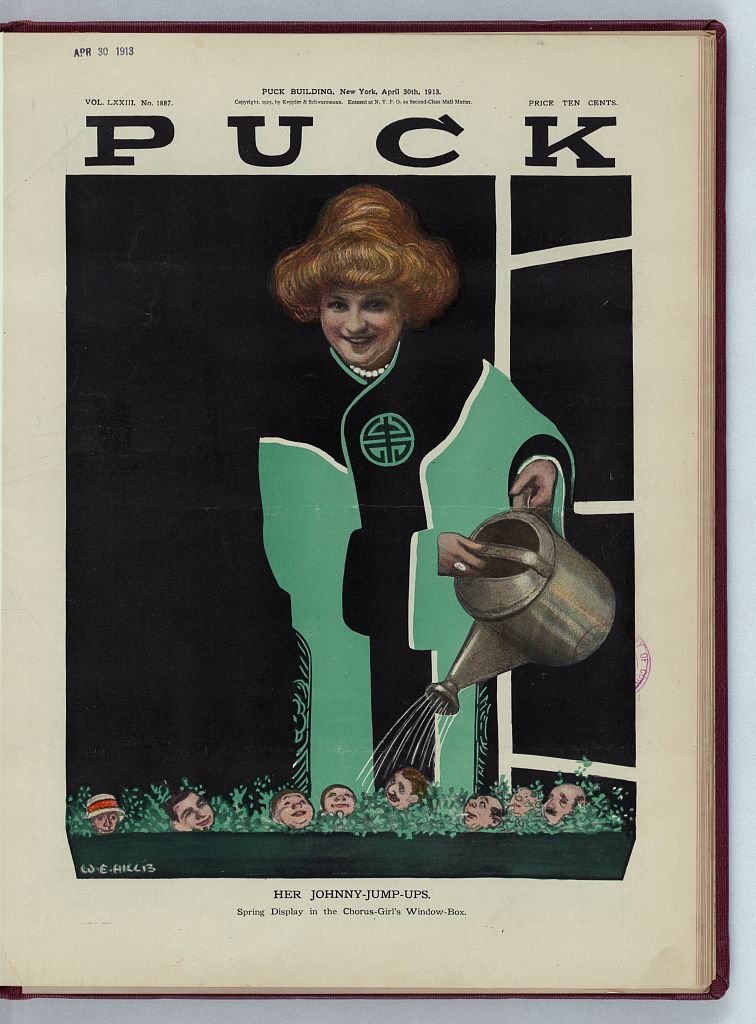 Her Johnny jump ups PUCK A4 Photo Print