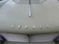 Herald Bonnet Grille 2533 A4 Photo Print