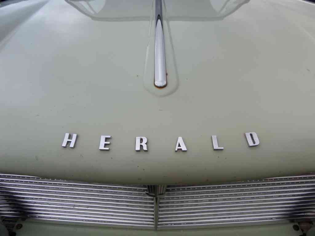 Herald Bonnet Grille 2533 A4 Photo Print