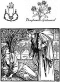 Herbert Cole Page 077 Fairy Art Vintage Illustration A4 Photo Print