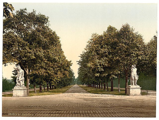 Hercules Avenue Altstadt Dresden Saxony Vintage A4 Photo Print