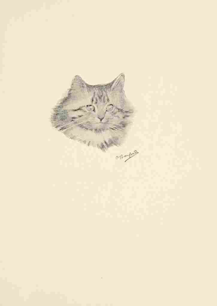 Herford Oliver Kittens Garden Verses 1 A4 Photo Print