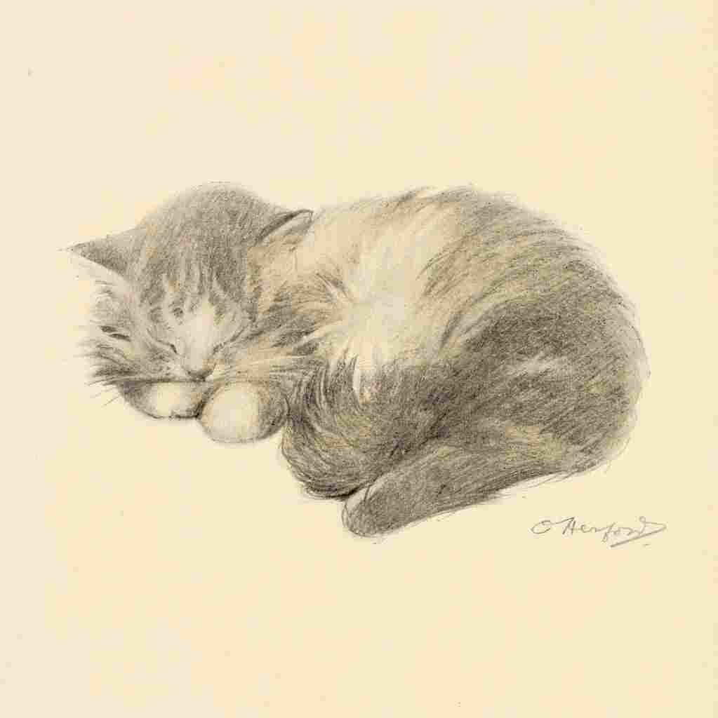 Herford Oliver Kittens Garden Verses 10 A4 Photo Print