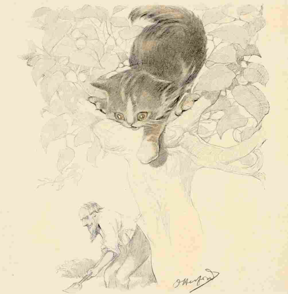 Herford Oliver Kittens Garden Verses 17 A4 Photo Print