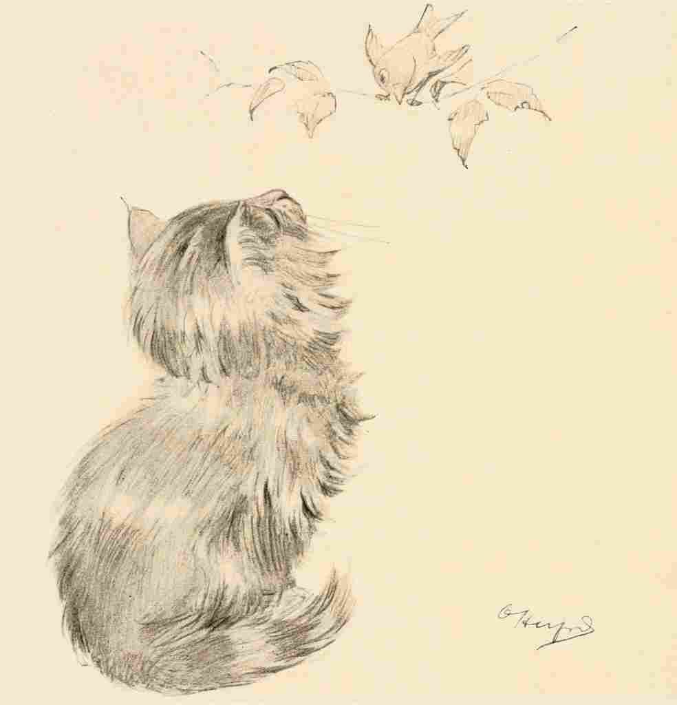 Herford Oliver Kittens Garden Verses 23 A4 Photo Print