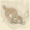 Herford Oliver Kittens Garden Verses 25 A4 Photo Print