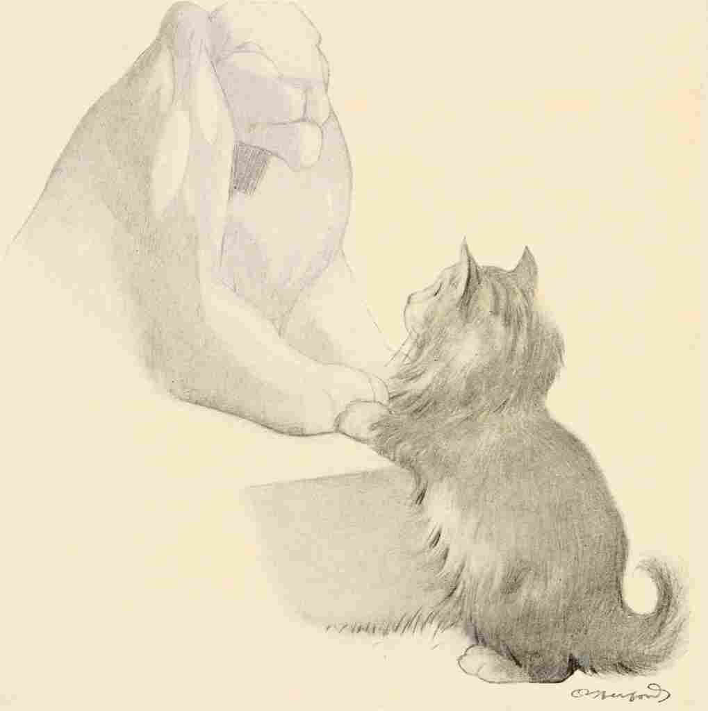 Herford Oliver Kittens Garden Verses 7 A4 Photo Print