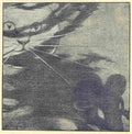 Herford Oliver Rubaiyat Persian Kitten 1906 1 A4 Photo Print