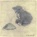 Herford Oliver Rubaiyat Persian Kitten 1906 14 A4 Photo Print