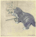 Herford Oliver Rubaiyat Persian Kitten 1906 17 A4 Photo Print