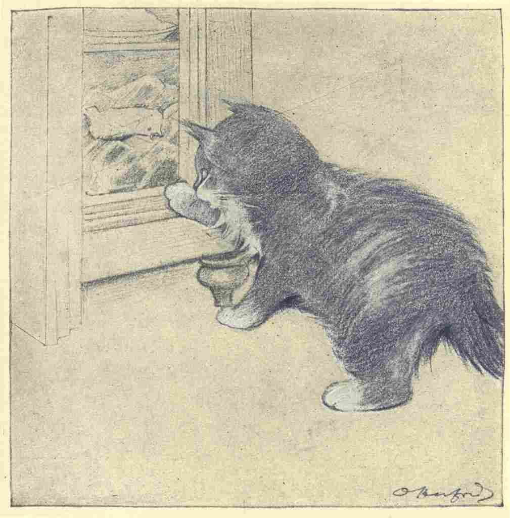 Herford Oliver Rubaiyat Persian Kitten 1906 17 A4 Photo Print