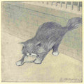Herford Oliver Rubaiyat Persian Kitten 1906 19 A4 Photo Print