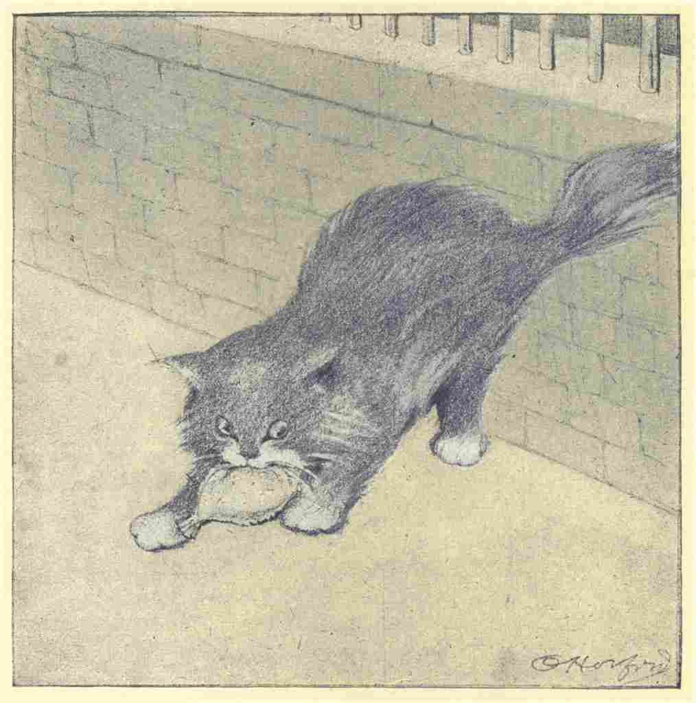 Herford Oliver Rubaiyat Persian Kitten 1906 19 A4 Photo Print