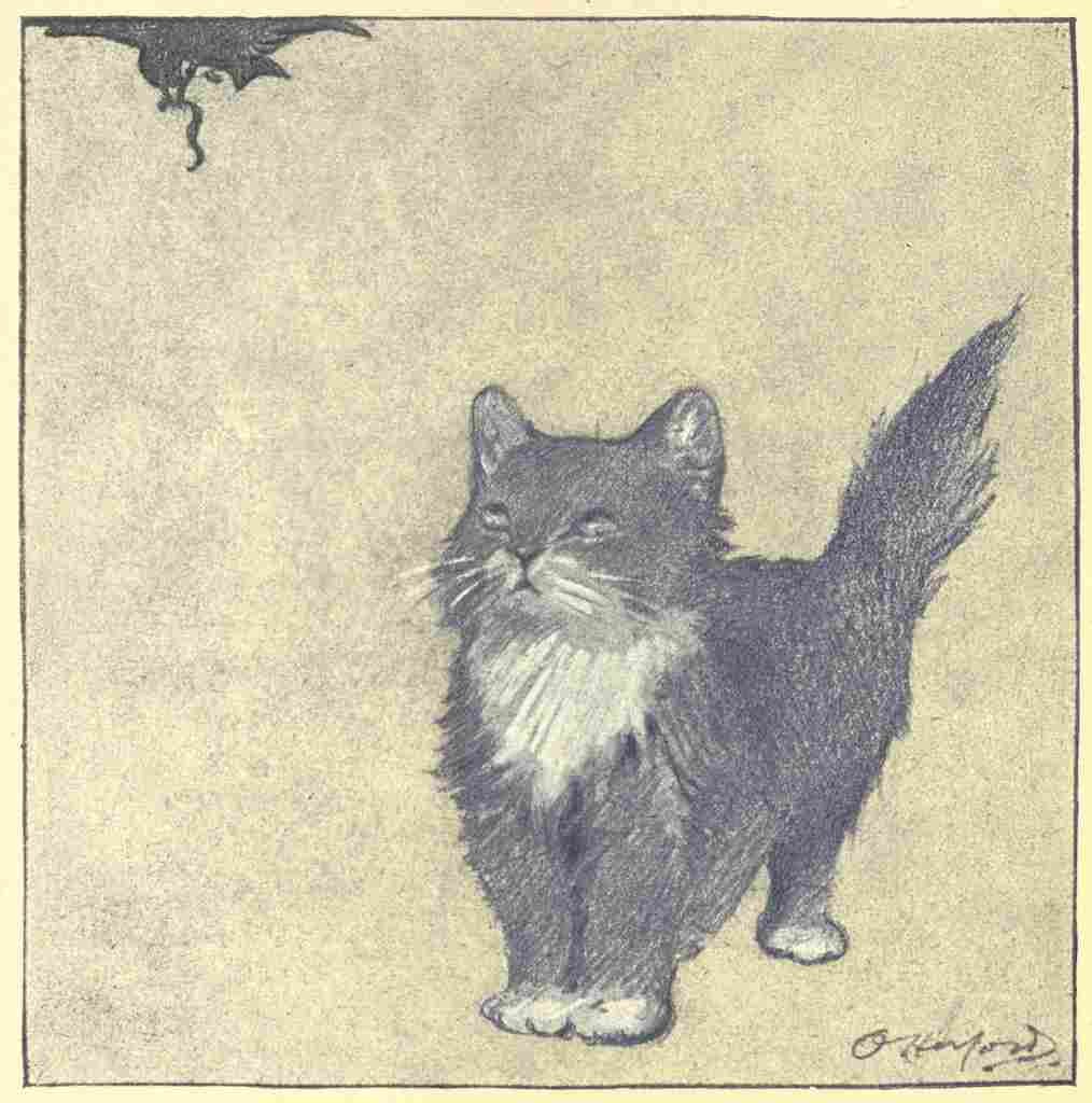 Herford Oliver Rubaiyat Persian Kitten 1906 3 A4 Photo Print