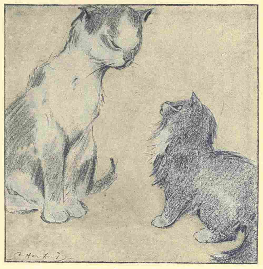 Herford Oliver Rubaiyat Persian Kitten 1906 31 A4 Photo Print