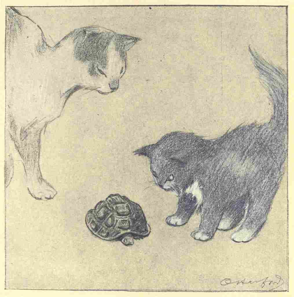 Herford Oliver Rubaiyat Persian Kitten 1906 32 A4 Photo Print