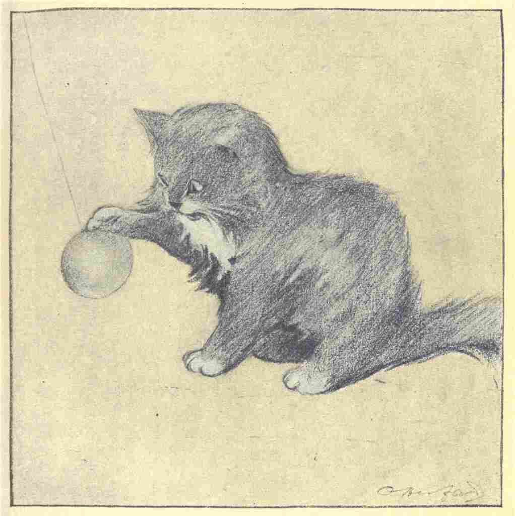 Herford Oliver Rubaiyat Persian Kitten 1906 6 A4 Photo Print