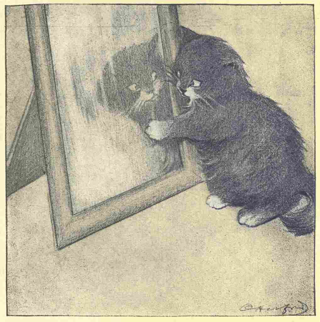 Herford Oliver Rubaiyat Persian Kitten 1906 7 A4 Photo Print