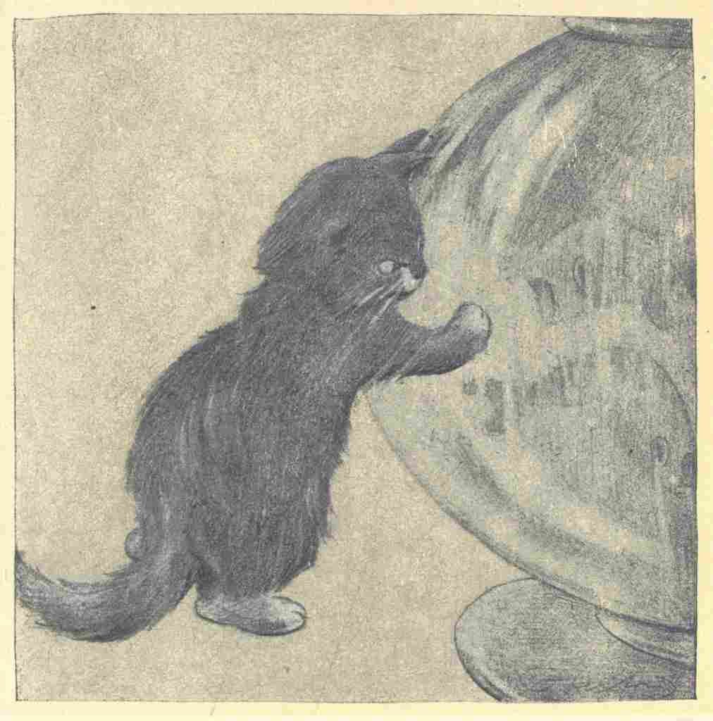 Herford Oliver Rubaiyat Persian Kitten 1906 8 A4 Photo Print