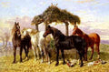 Herring Jnr John Frederick Horses And Ducks By A River A4 Photo Print