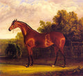 Herring John F Sr British 1795 1865 Art A4 Photo Print