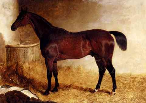 Herring John Frederick Flexible A Chestnut Racehorse In A Loose Box A4 Photo Print