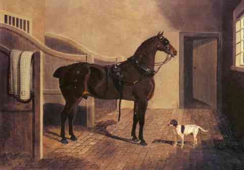 Herring Snr John Frederick A Favorite Coach Horse And Dog In A Stable A4 Photo Print