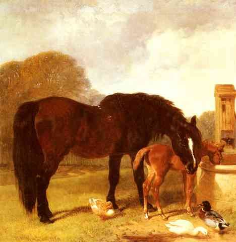 Herring Snr John Frederick Horse And Foal Watering At A Trough A4 Photo Print