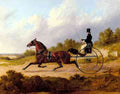 Herring Snr John Frederick The Famous Trotter Confidence Drawing A Gig A4 Photo Print