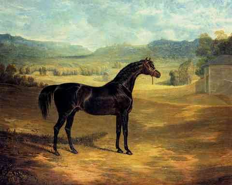 Herring Sr John Frederick The Bay Stallion Jack Spigot A4 Photo Print
