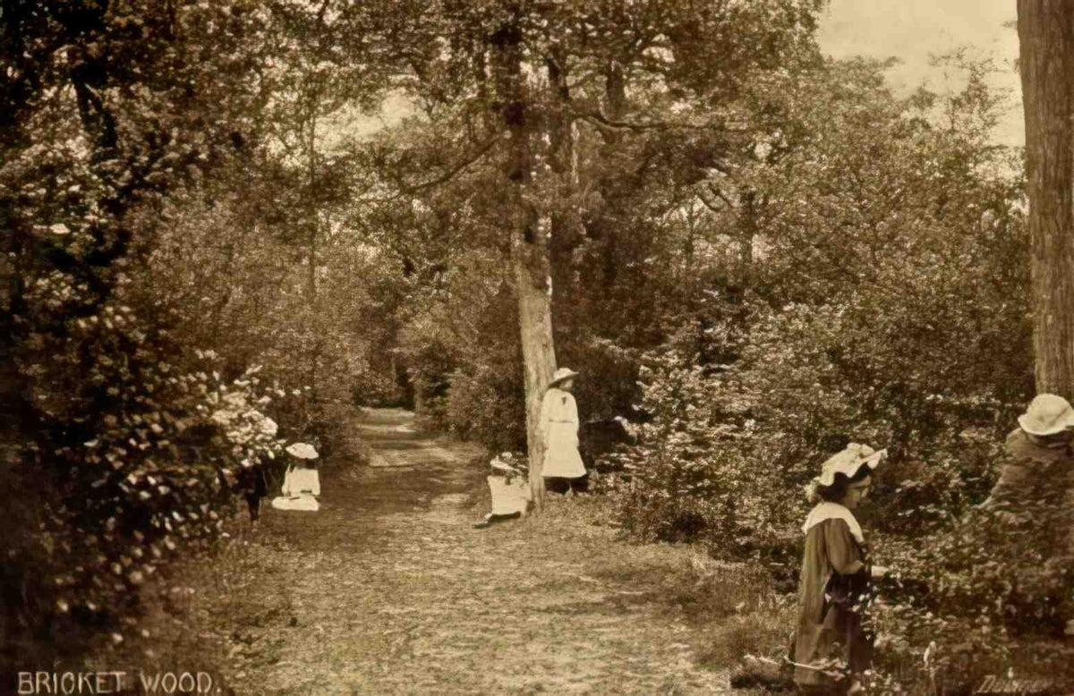 Hertfordshire Bricket Wood Vintage A4 Photo Print